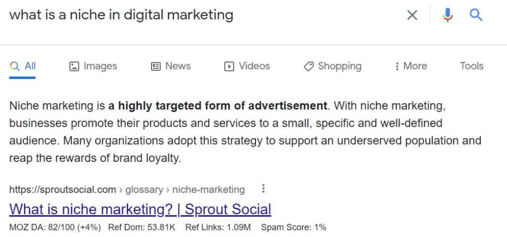 What niche means in digital marketing