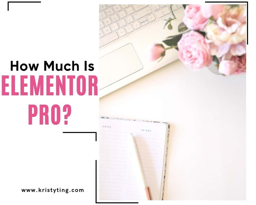 How Much is Elementor Pro