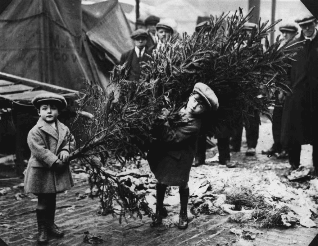 2 boys carrying a Christmas tree in 1920