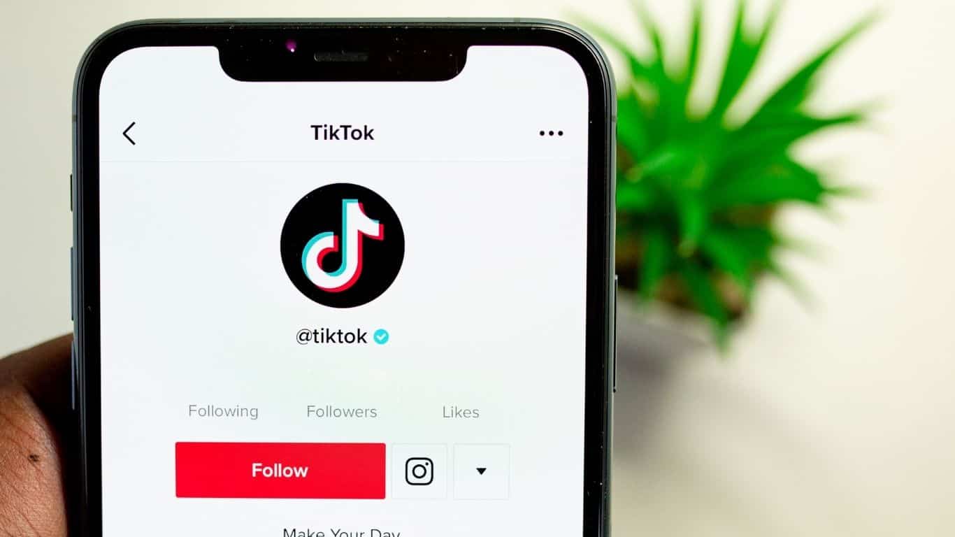 TikTok to MP3 - from a mobile phone