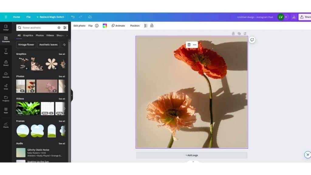 Close-up of flowers in Canva editor.