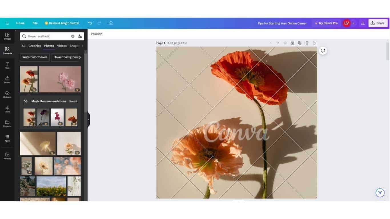 Canva Elements - Canva editor with flower images.