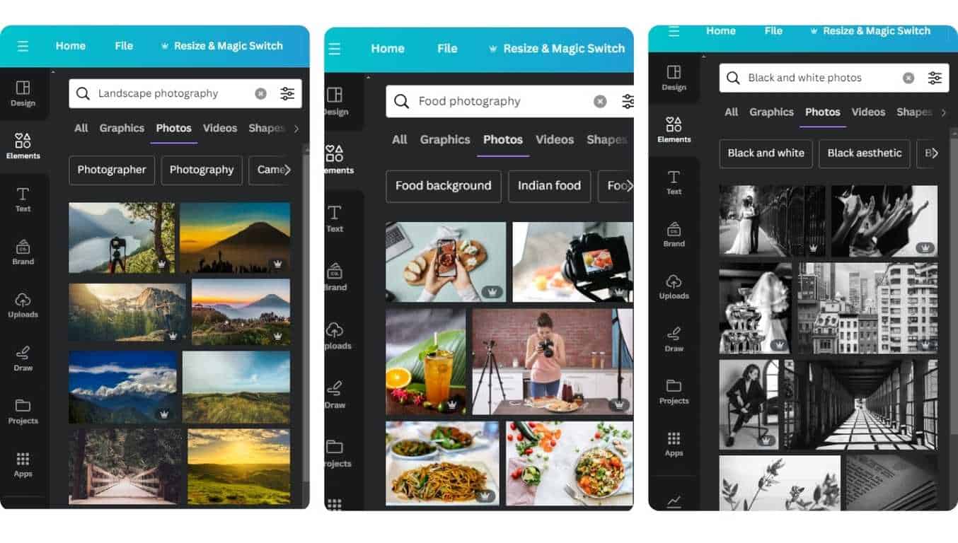 Canva displaying different landscape, food, and black and white photos.