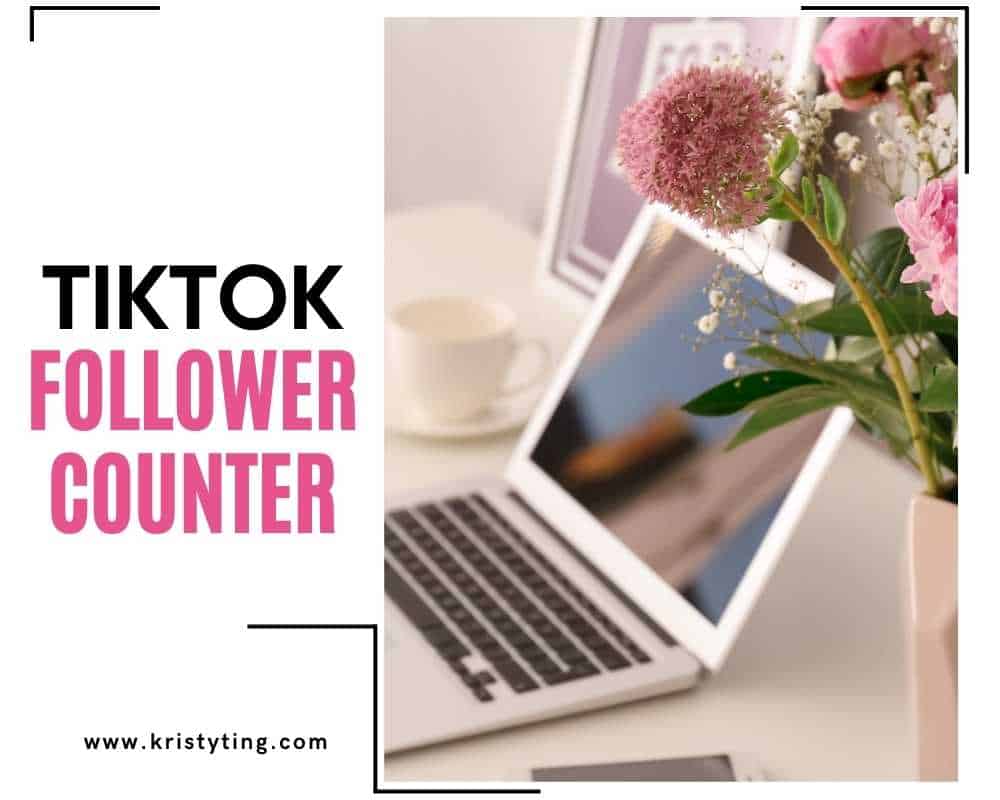 TikTok Follower Counter: What It Is And How To Use It ⋆ Side Gig ...