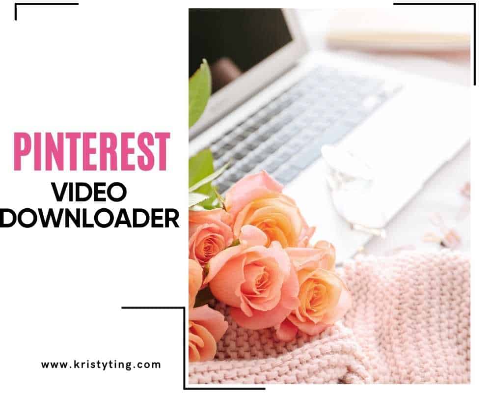 Pinterest Video Downloader