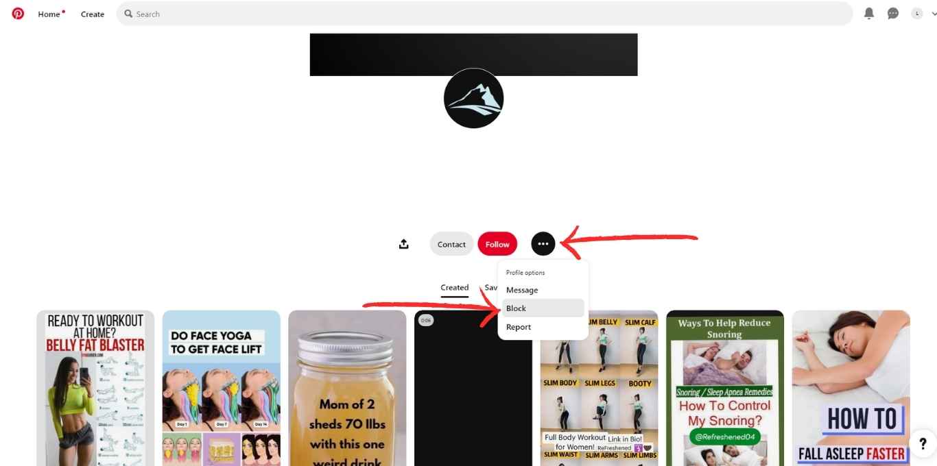 Pinterest sample user showing how to block it's profile