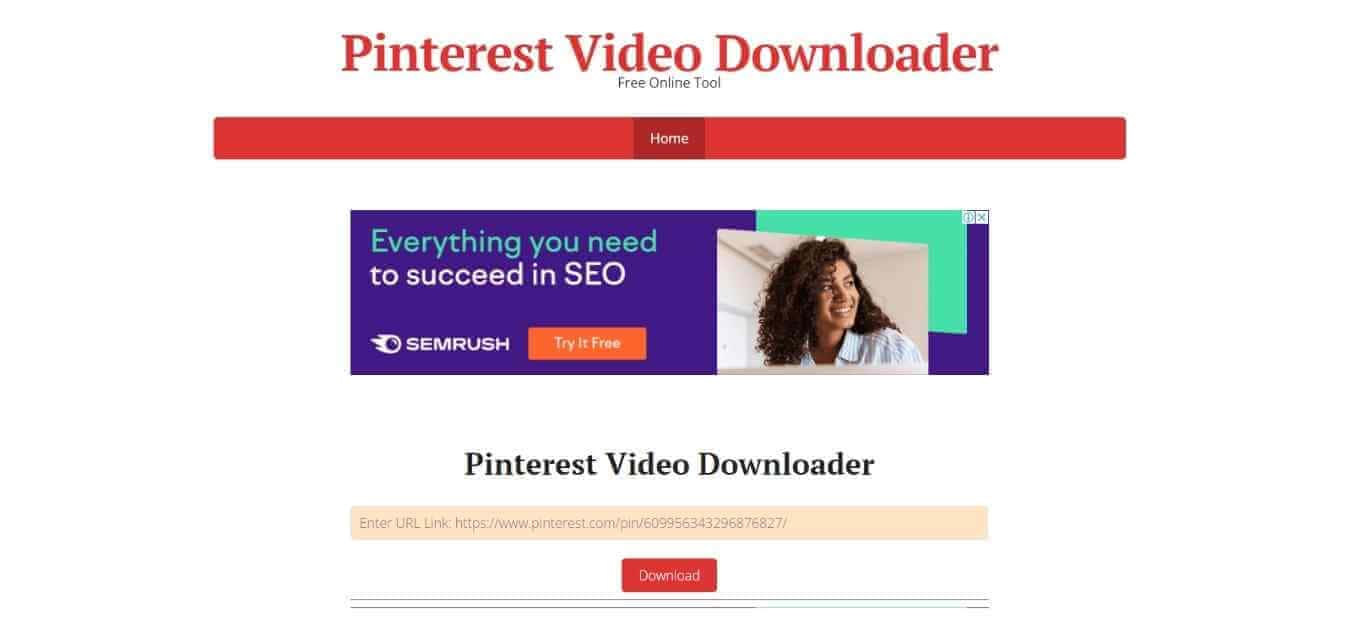 Pinterest Video Downloader website dashboard