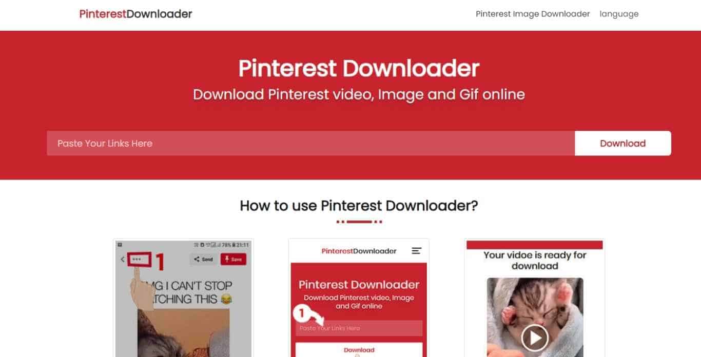 Pinterest downloader website