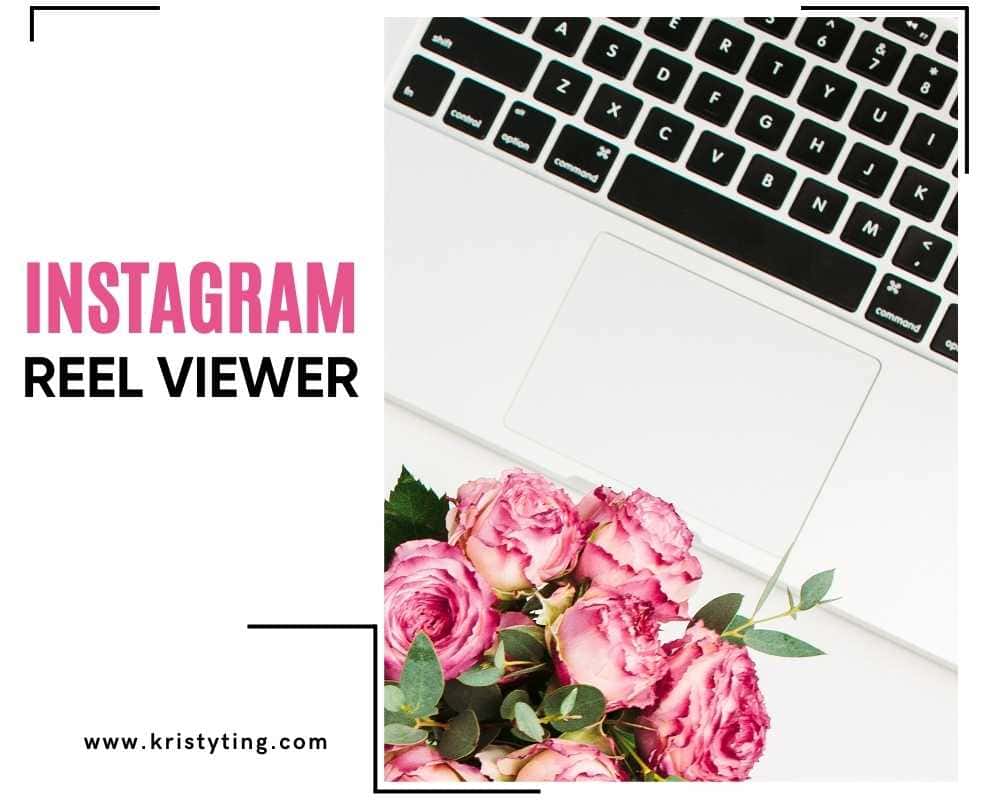 Instagram Reel Viewer