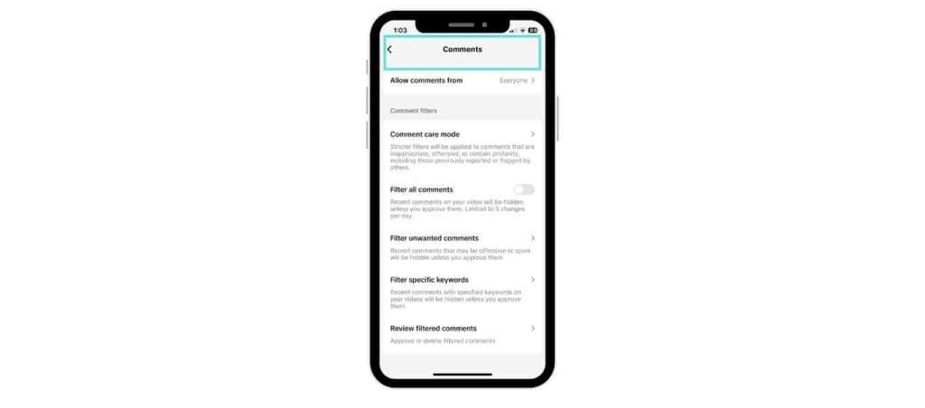 TikTok comment setting