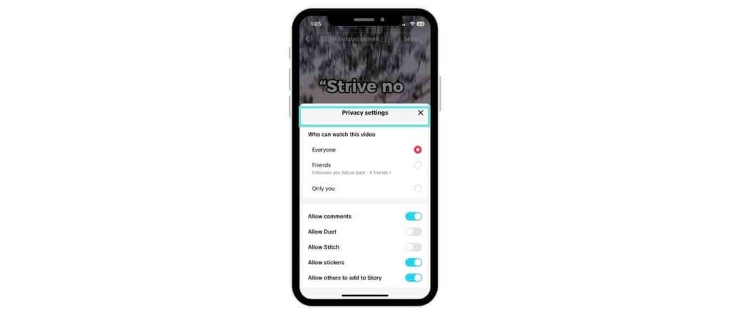 TikTok privacy setting on a post