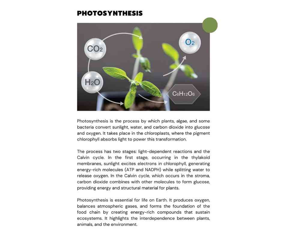 writing techniques: a photosynthesis explanation