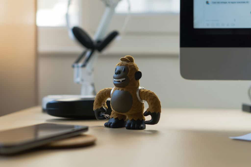The Chimp off for a road trip