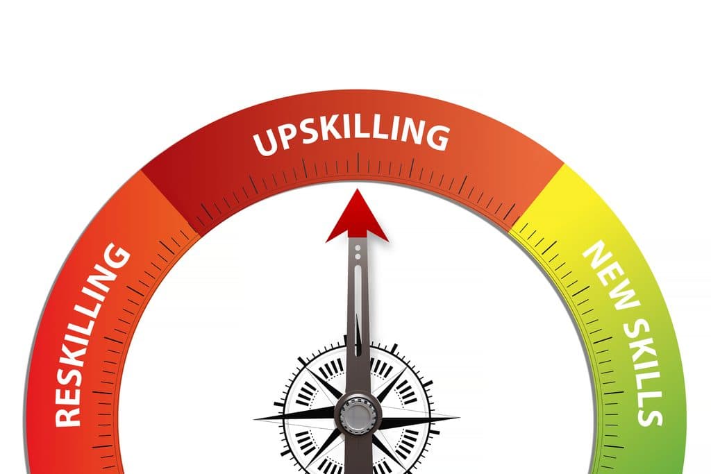 Illustration showing upskilling as akey step in a career pivot to digital freelancing