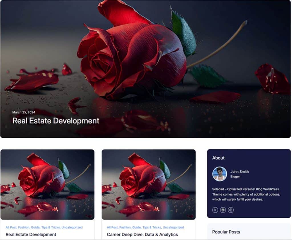 Soledad WordPress theme page showing its blog and magazine-style website layouts